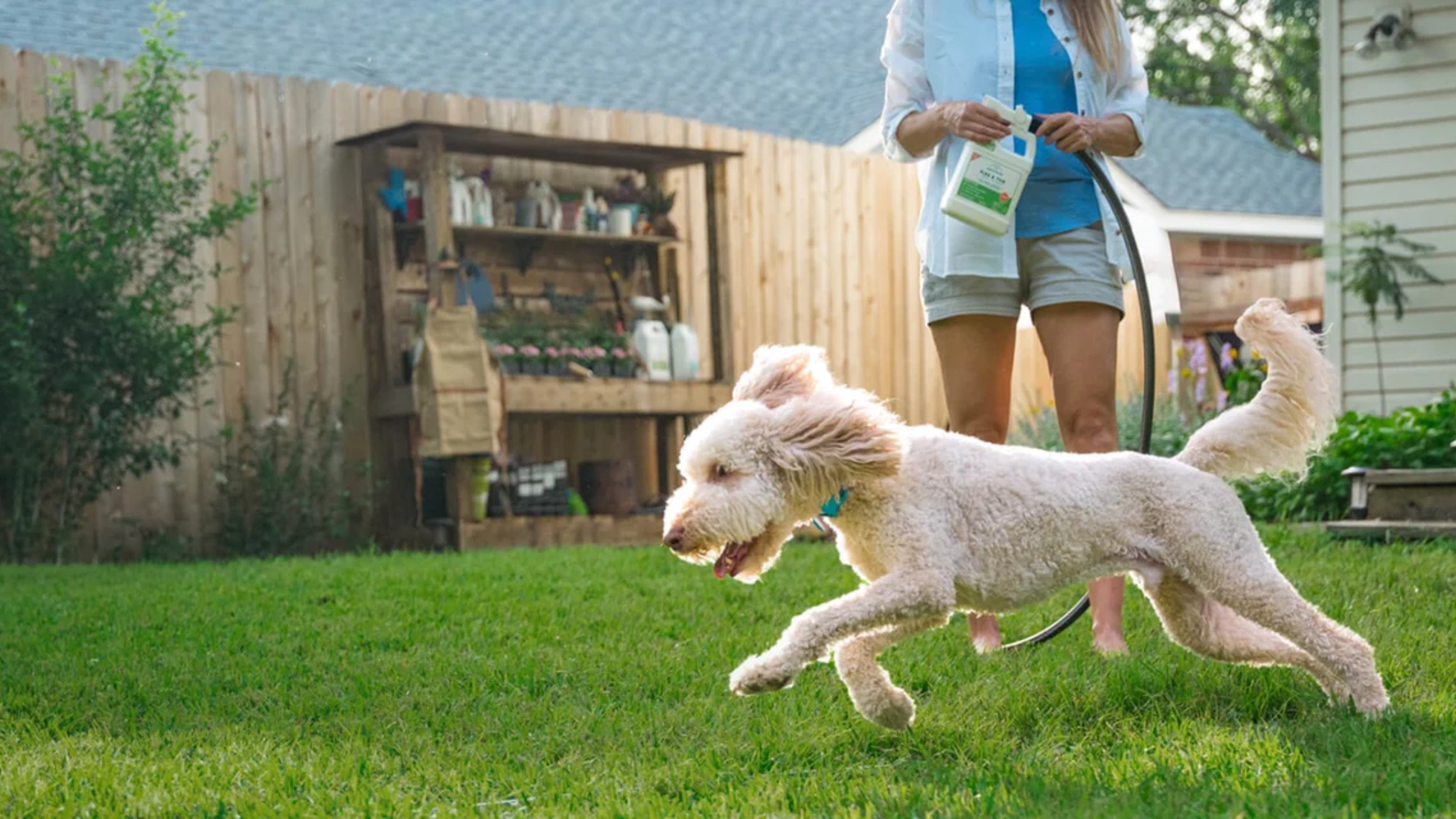 Wondercide Review: A Solid Plant-Based Repellent — Not a Replacement for Your Vet's Prevention Plan
