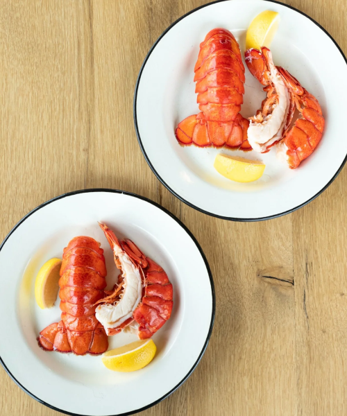 Live Lobsters (4-pack ~$220) — product photograph