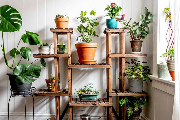 Indoor Gardening 101: How to Bring Nature Indoors