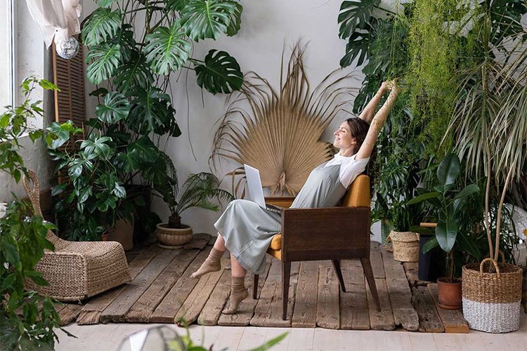 Indoor Gardening 101: How to Bring Nature Indoors