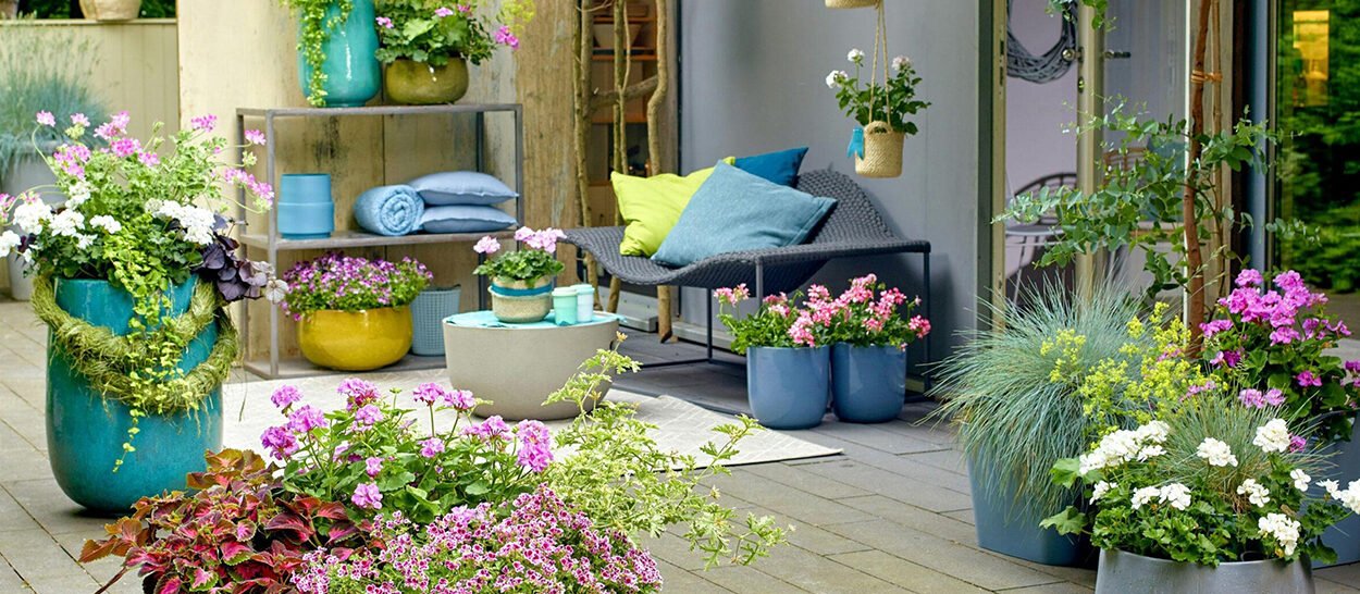 Container Gardening: How to Grow Plants in a Small Space