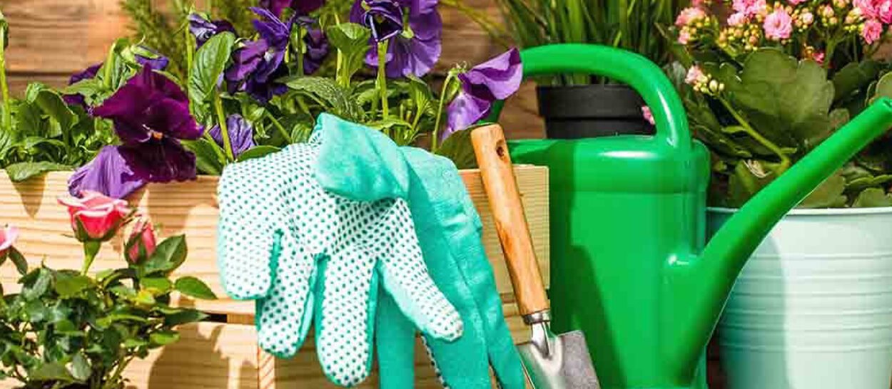 Essential Tools Every Home Gardener Needs for a Successful Garden