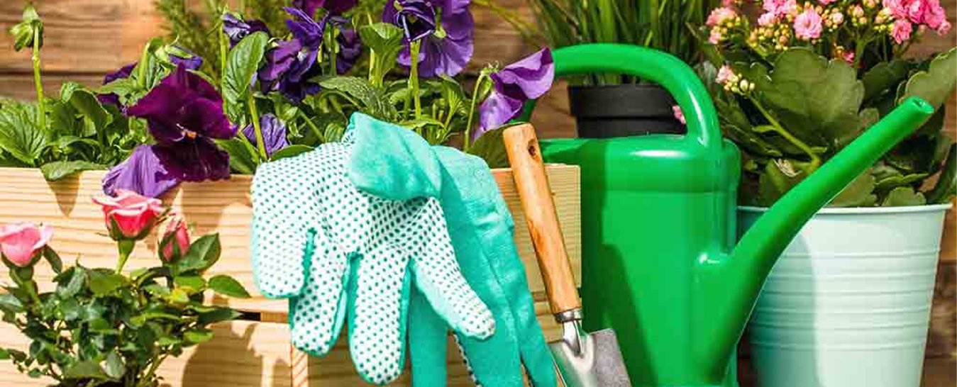 Essential Tools Every Home Gardener Needs for a Successful Garden