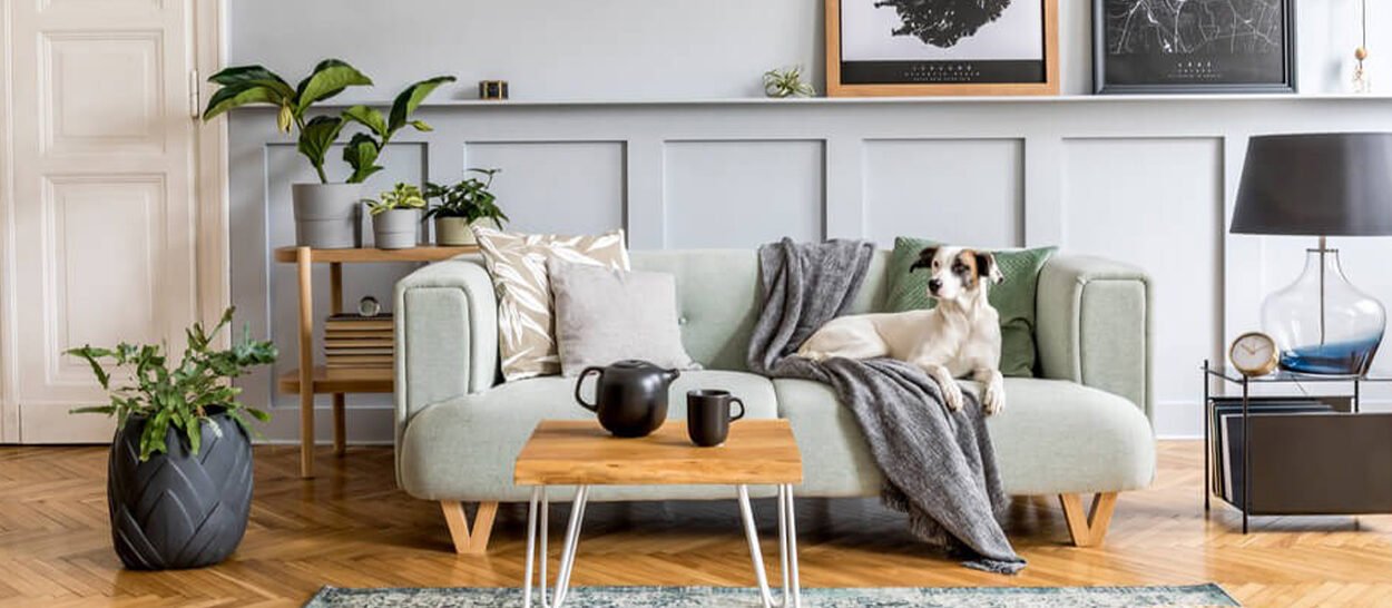 How to Decorate a Room According to Your Personality