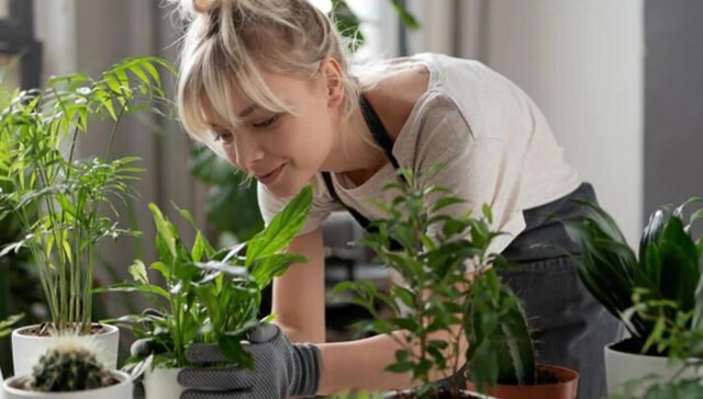 Indoor Gardening 101: How to Bring Nature Indoors