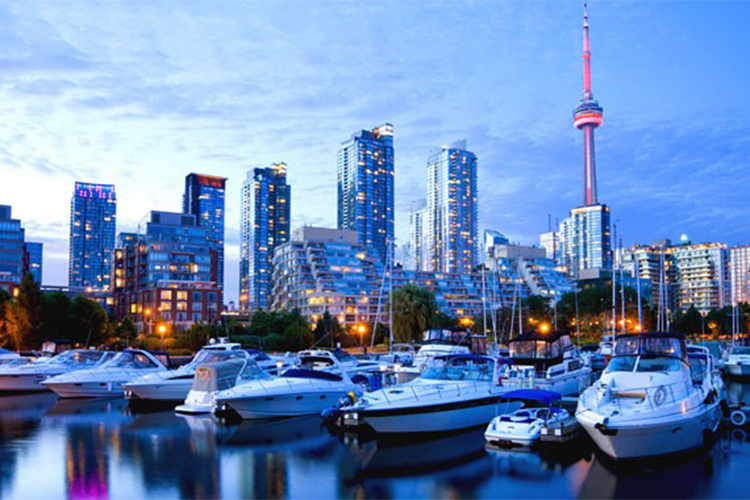 Rental Cars and Cruises